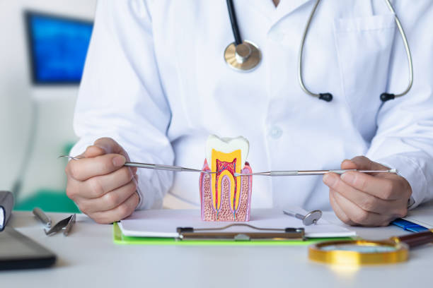 Best Urgent Tooth Repair  in East Tawas, MI